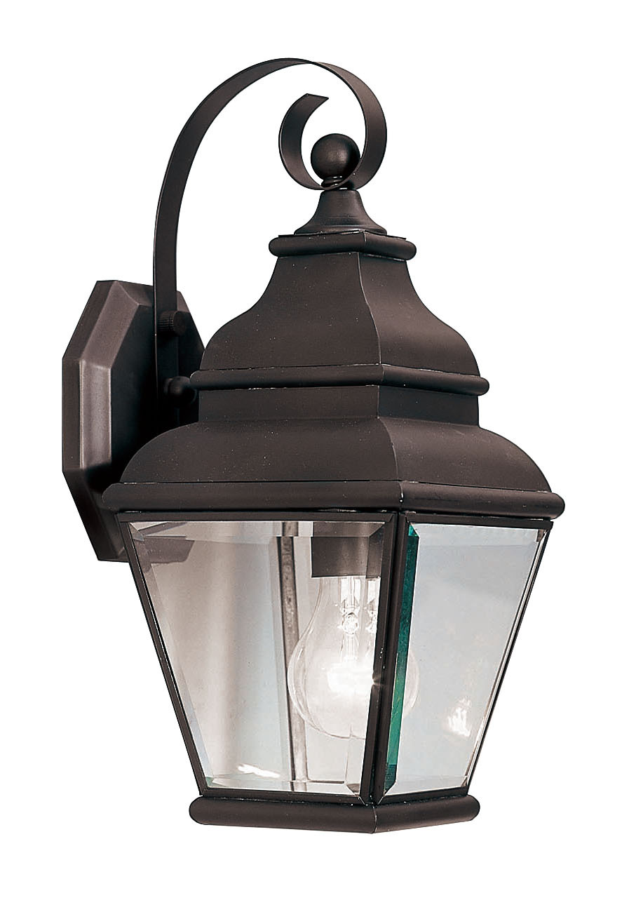 1 Light Bronze Outdoor Wall Lantern