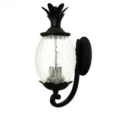 Acclaim Lighting 7511BK - Lanai Collection Wall-Mount 3-Light Outdoor Matte Black Light Fixture