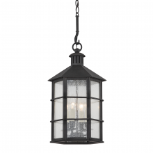 Troy F2526-FRN - Lake County Exterior Lantern