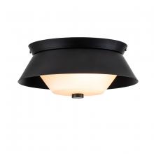 Lucas McKearn FM1004MB-10 - Bowtie Flush Mount in Matte Black